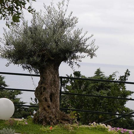 Corte Del Gallo Corniglia Dış mekan fotoğraf